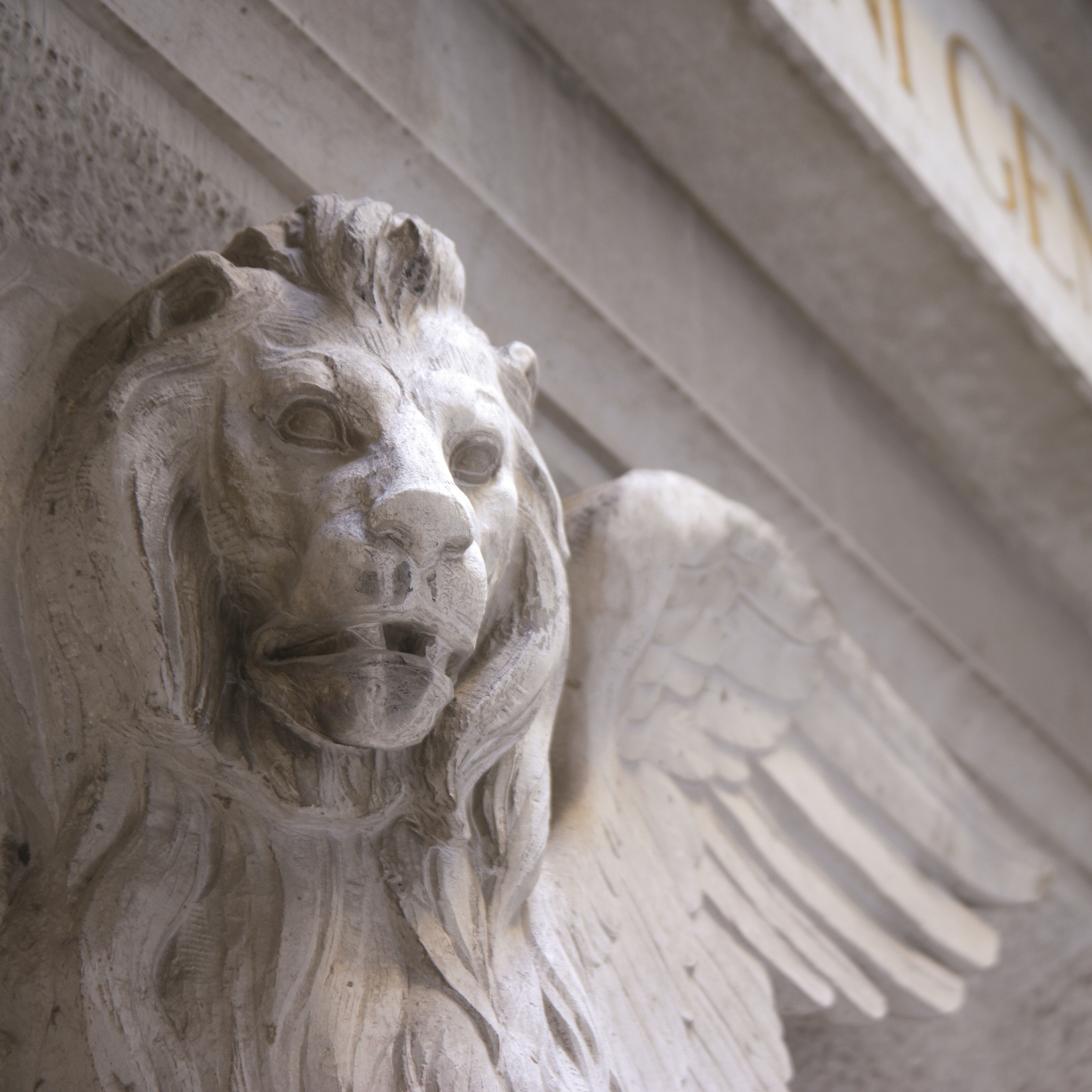 Identity Theft Protection